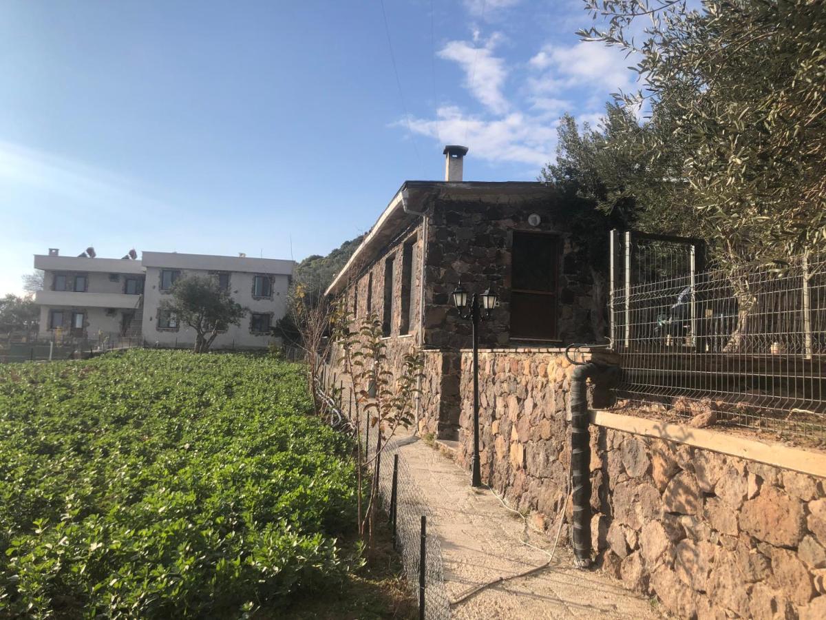 Assos Alis Farm Boutique Hotel & Spa Exterior foto